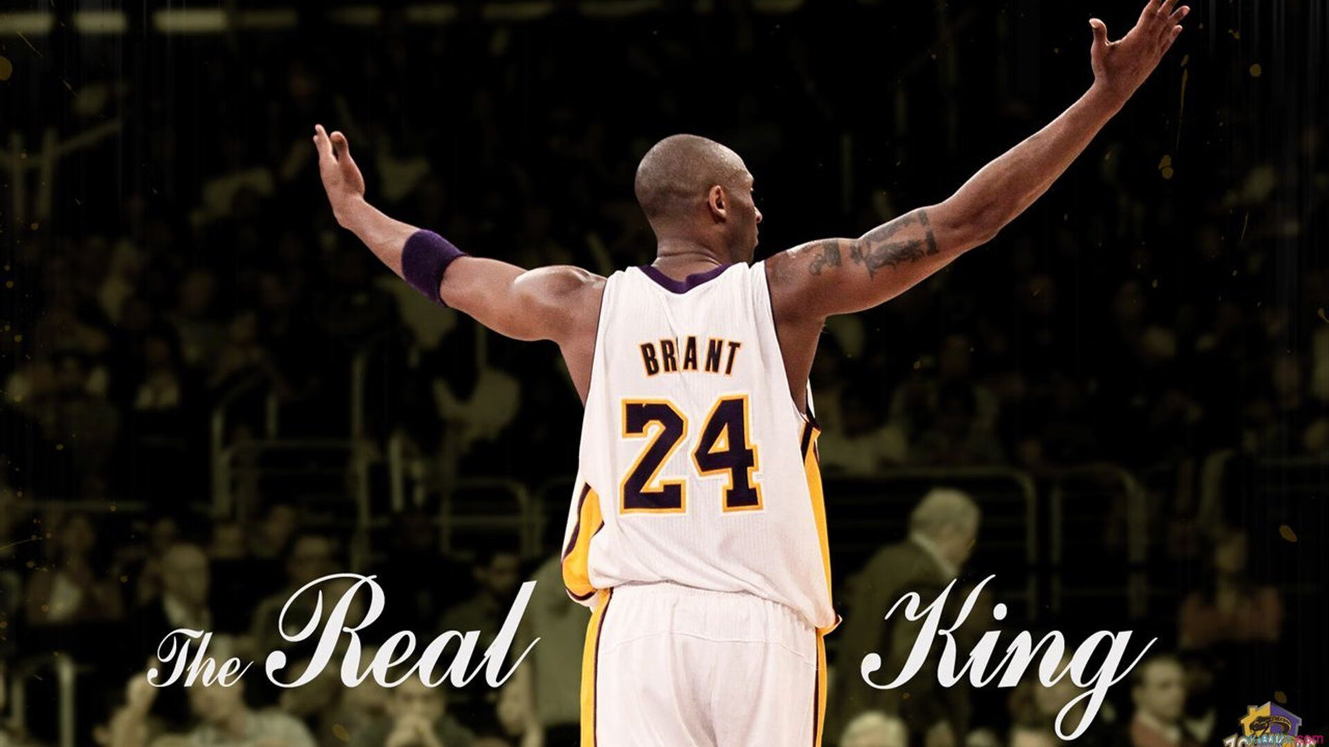 王者荣耀职业联赛年度最佳团队奖评选启动，王者荣耀职业联赛冠军最多的战队